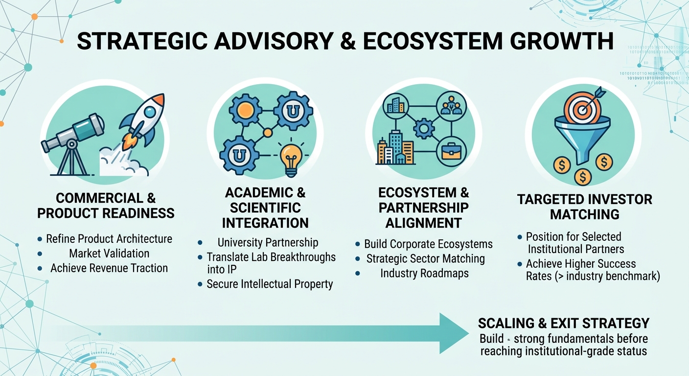 Strategic Advisory Beyond Traditional Venture Capital for Scale-Ups and Research Spin-Outs Brazil